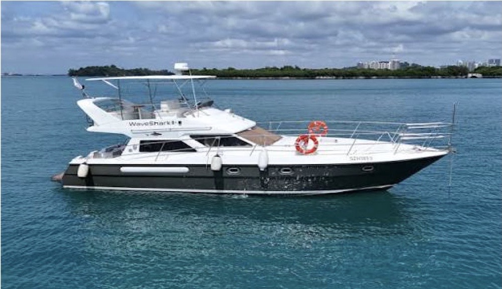 WAVESHARK II (PRIVATE)