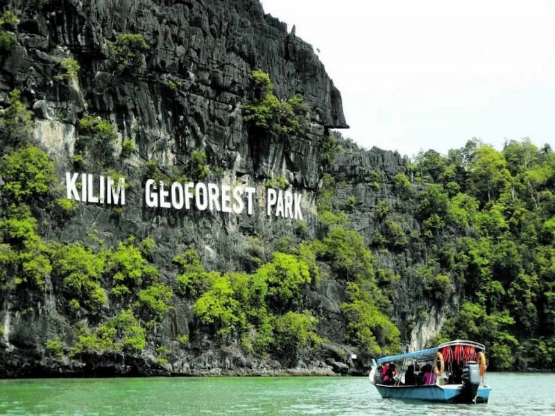MANGROVE TOUR (SHARING)